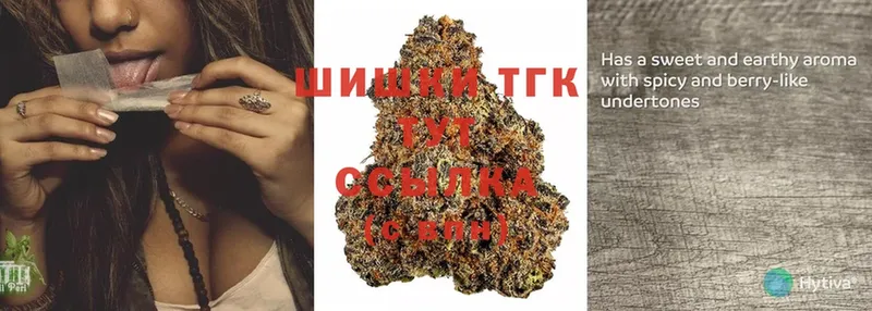 купить  цена  Ершов  Марихуана THC 21% 